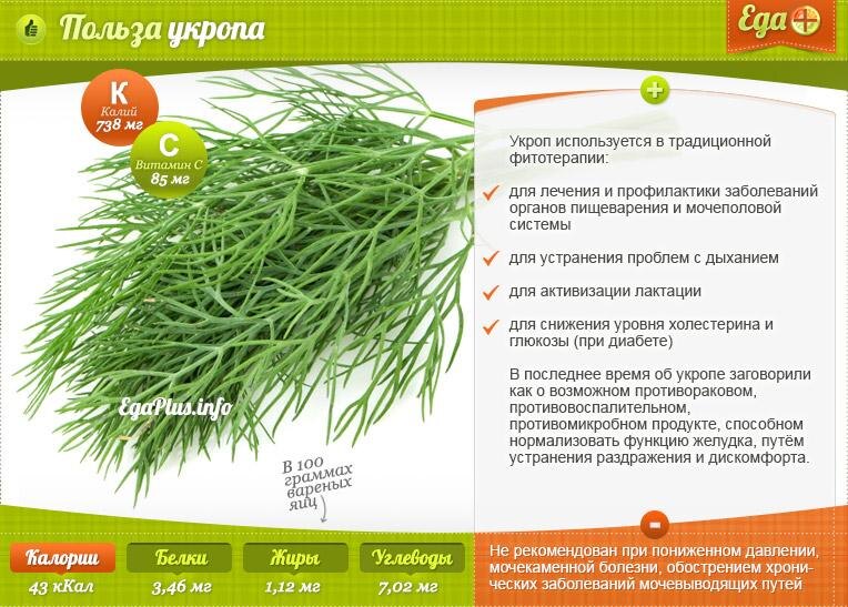 Crjityfz nhff. Этой травой можно. Розмарин для памяти. Этой травой можно. Гармала трава.