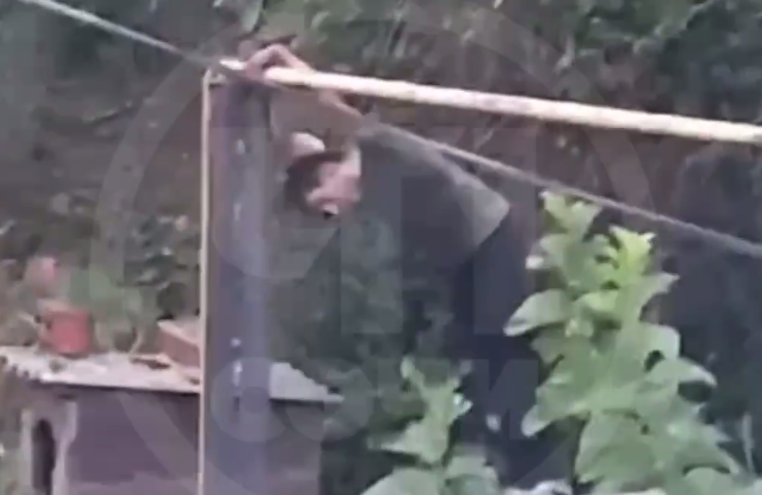    фото: телеграм-канал ЧП Сочи