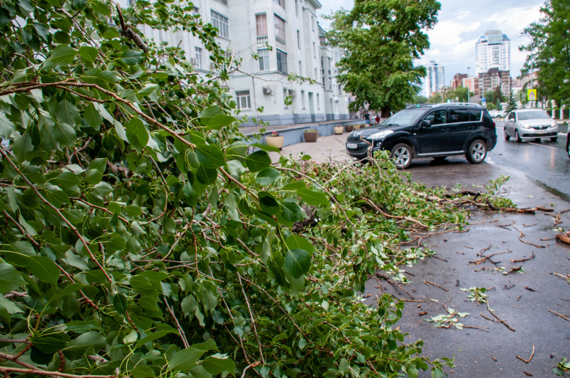    Фото: Светлана Возмилова/Globallookpress.