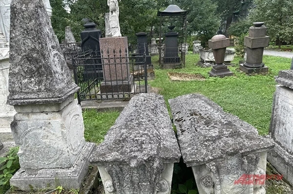    Львы с мордами ящеров.