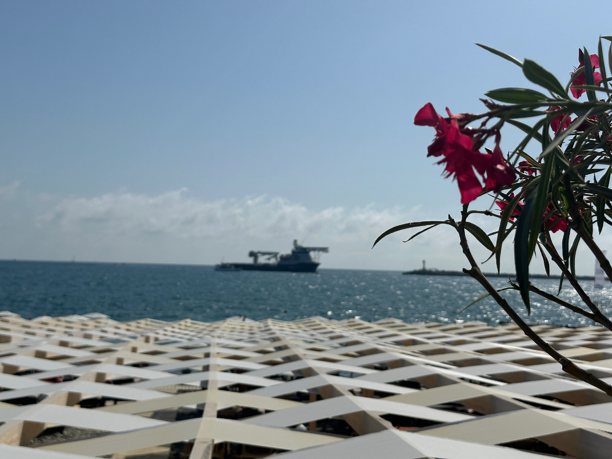 Сочи, Красная Поляна и Сириус самые дорогие курорты Краснодарского края. Адлер и Лазаревское чуть подешевле. Дальше Геленджик, ну и другие курорты еще бюджетнее. 