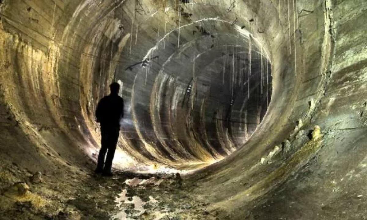 Картинка из интернета