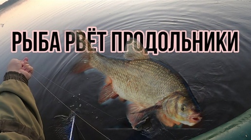 Рву рыбалка