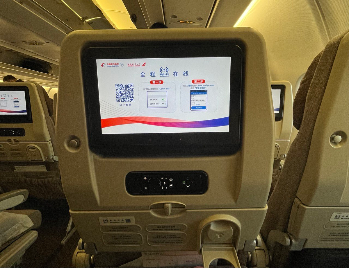 Вот такие экраны на сидениях могут попасться