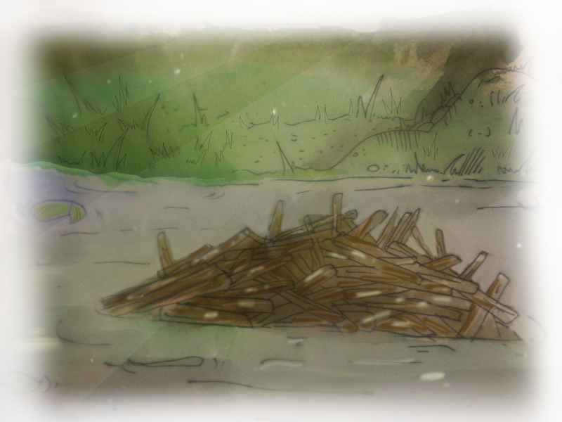 Хатка бобра