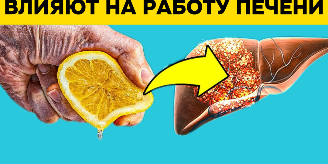 11 продуктов, которые оказывают значительное влияние на работу печени