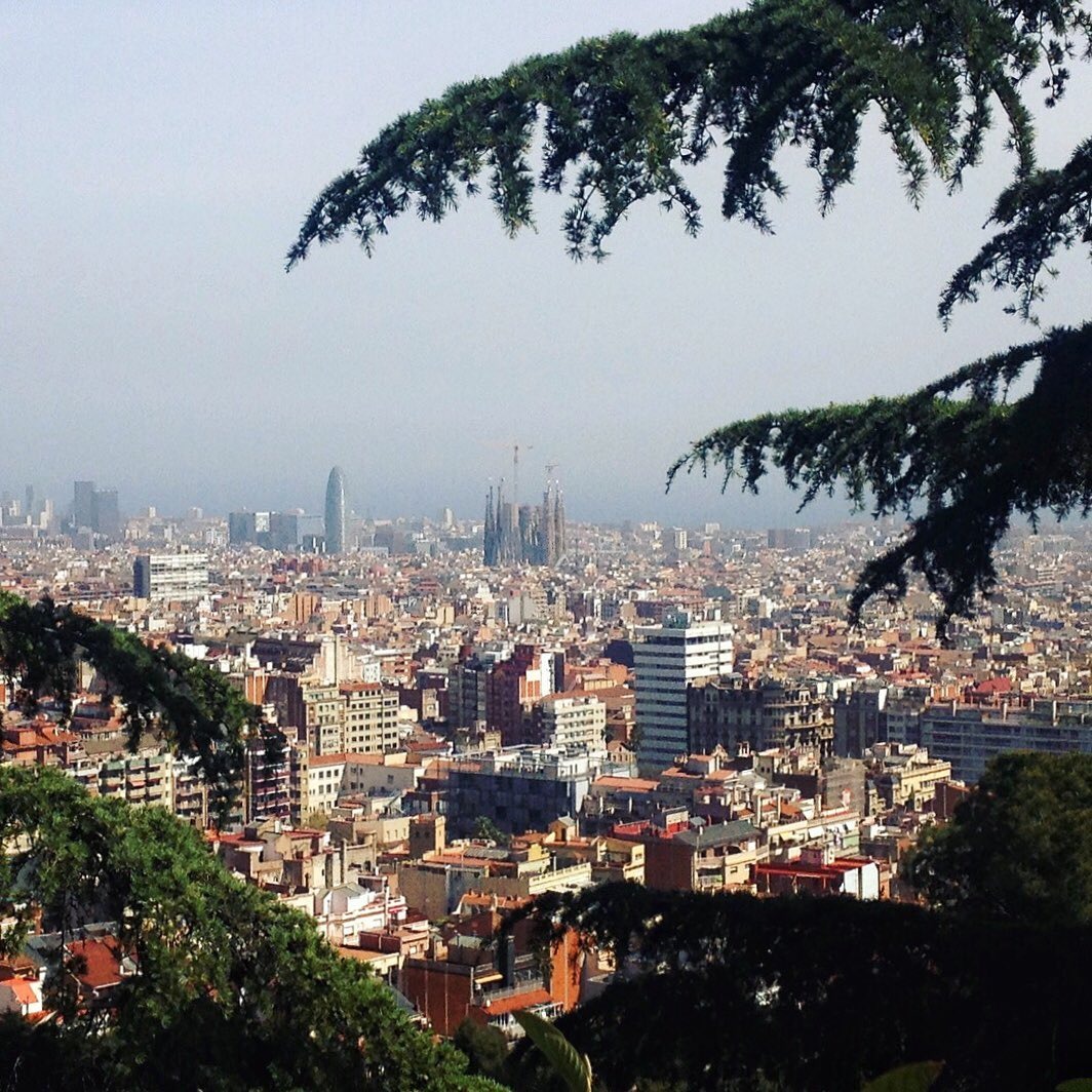 Вид из парка Parc del Turó del Putxet