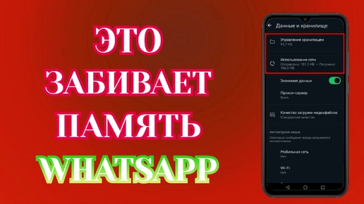 Как Очистить Whatsapp и Освободить Много Места на Своем Телефоне. От 1 до 20 Гигабайт Гарантировано