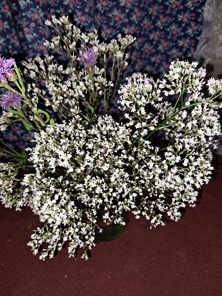 Букет от сыночка.