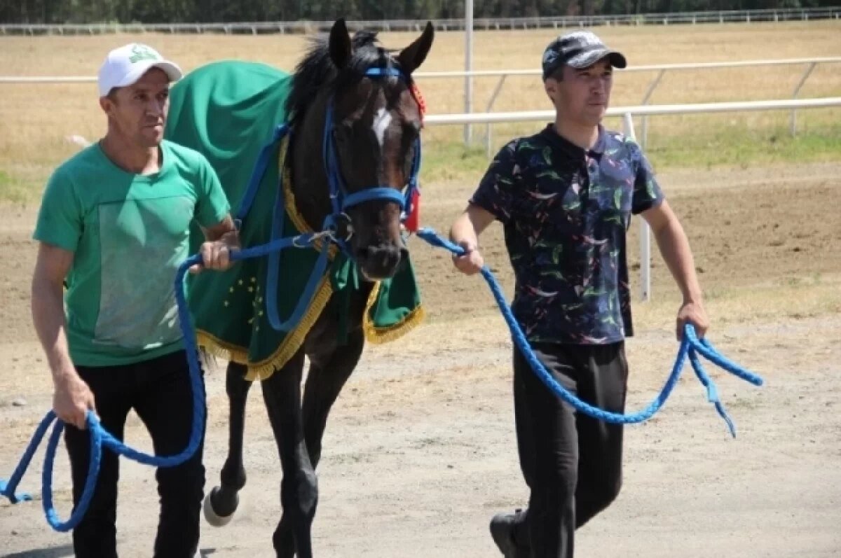    В Майкопе состоялись скачки