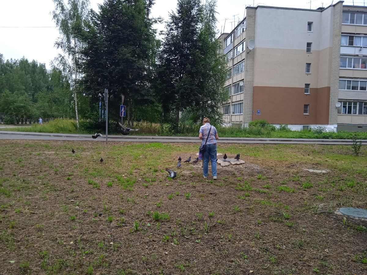 Местная жительница кормит голубей