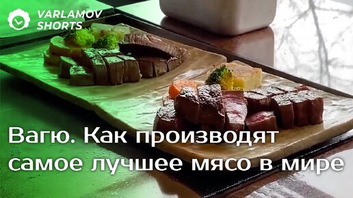 Вагю. Как производят самое лучшее мясо в мире