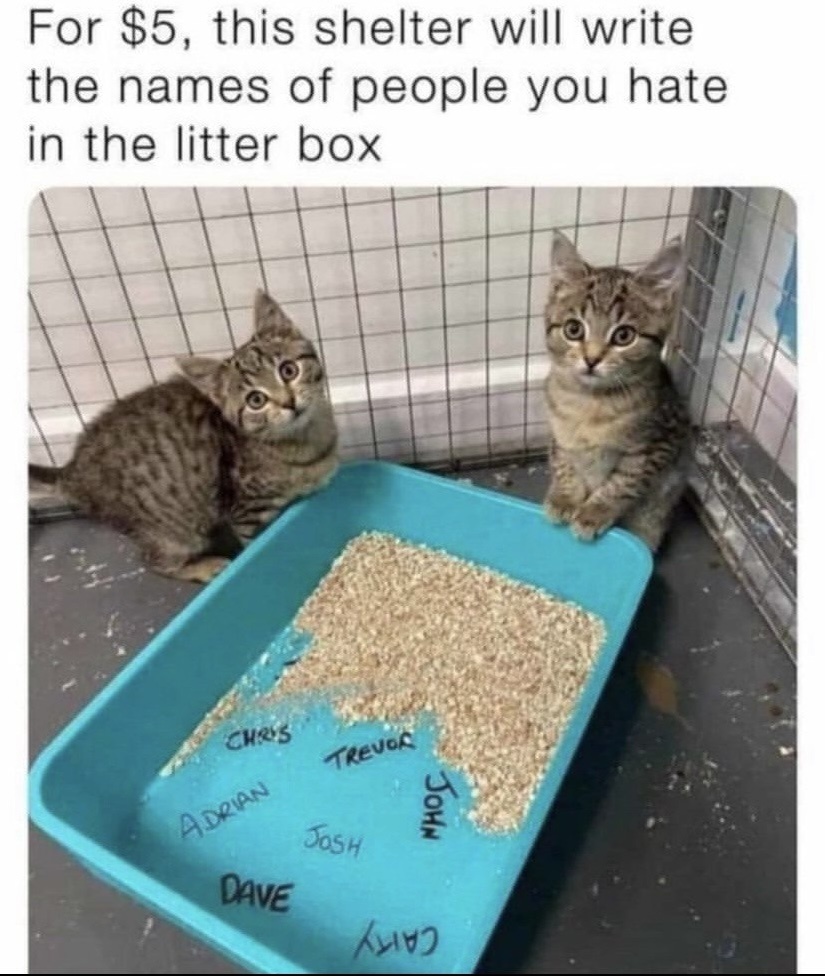 За 5 долларов этот приют для животных напишет в лотке имя людей, которых вы ненавидите. 