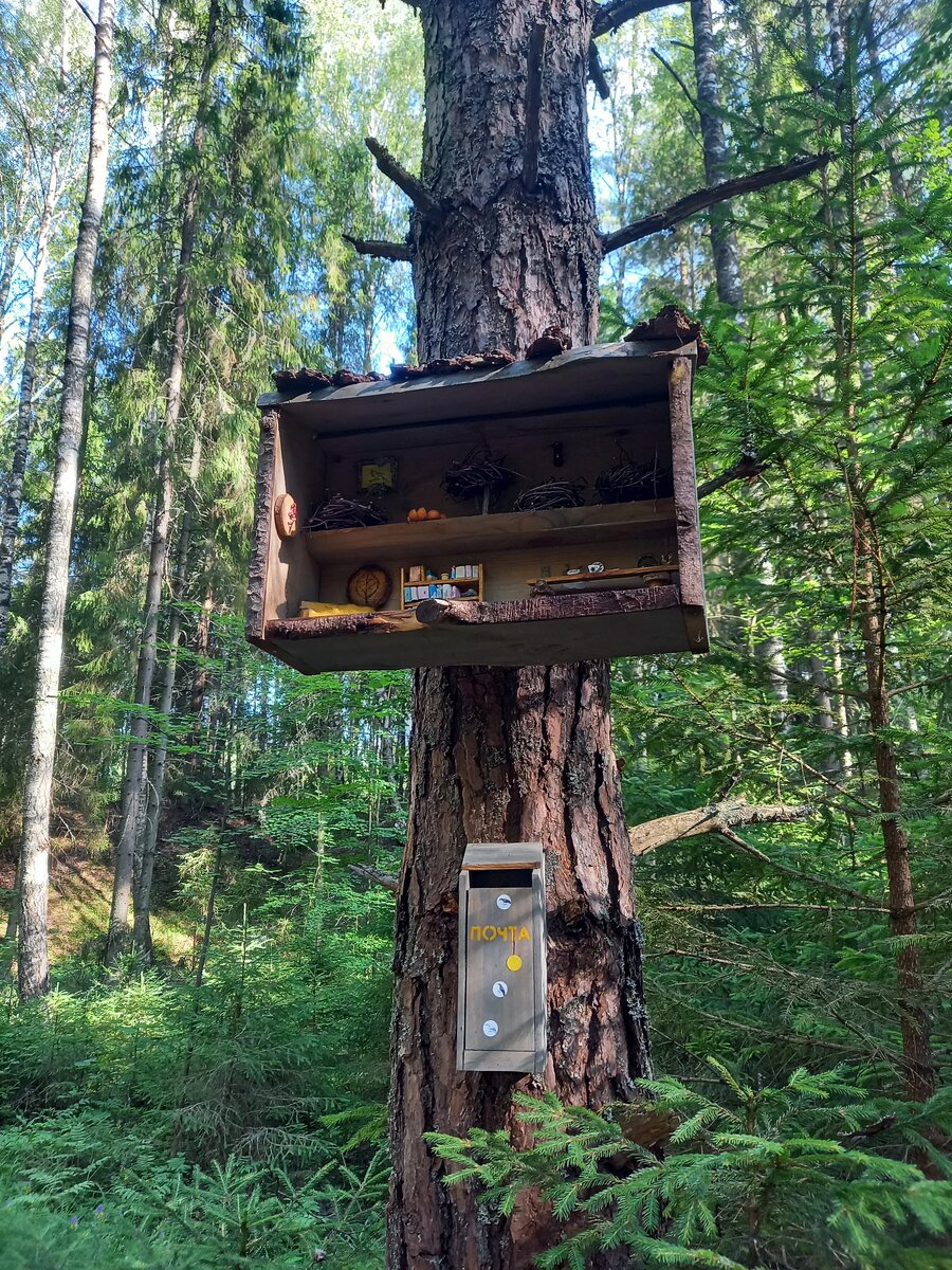 Птицы живут в таких домиках и отправляют друг другу открытки
