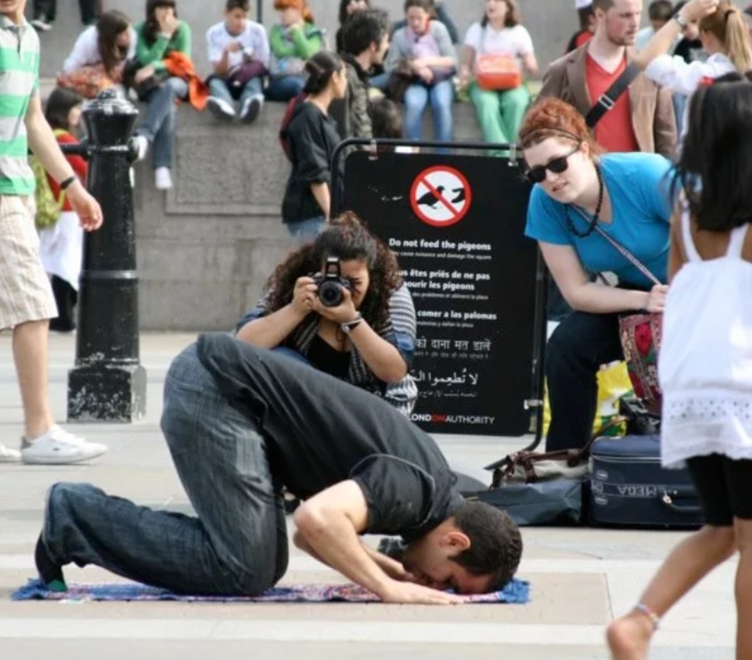 Яндекс. Поиск