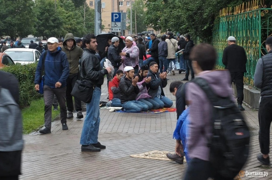 Яндекс. Поиск