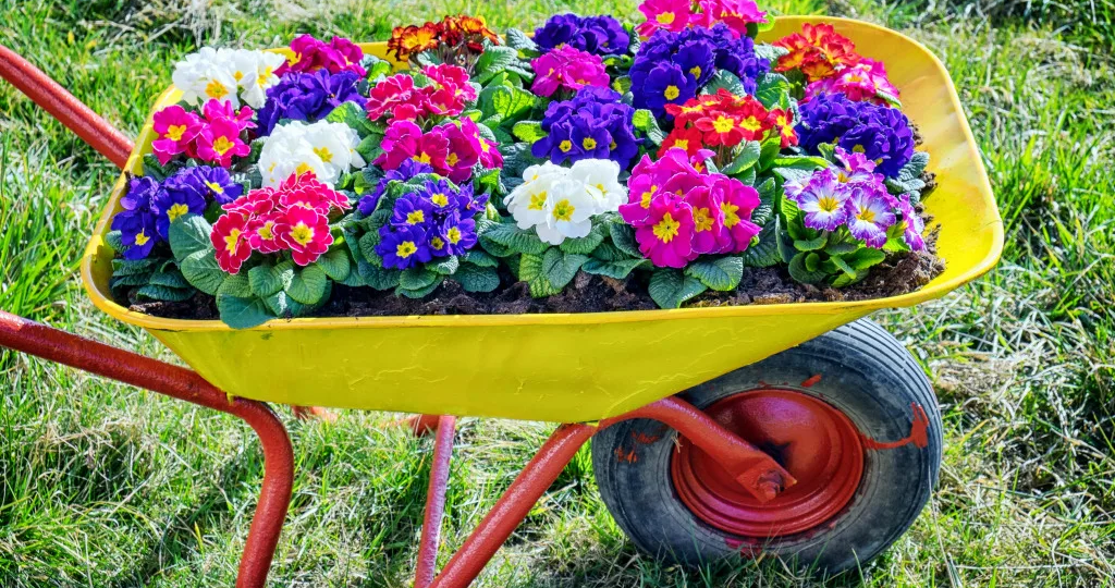 🔥 Хочу так у себя! 15 крутых идей для вашей дачи и огорода