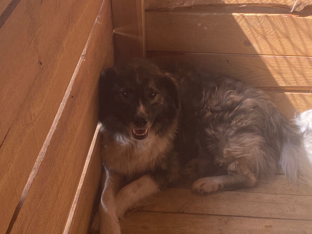 Добавьте описание