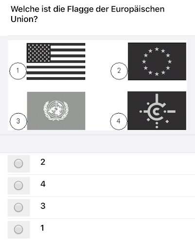 Какой флаг у Европейского союза?