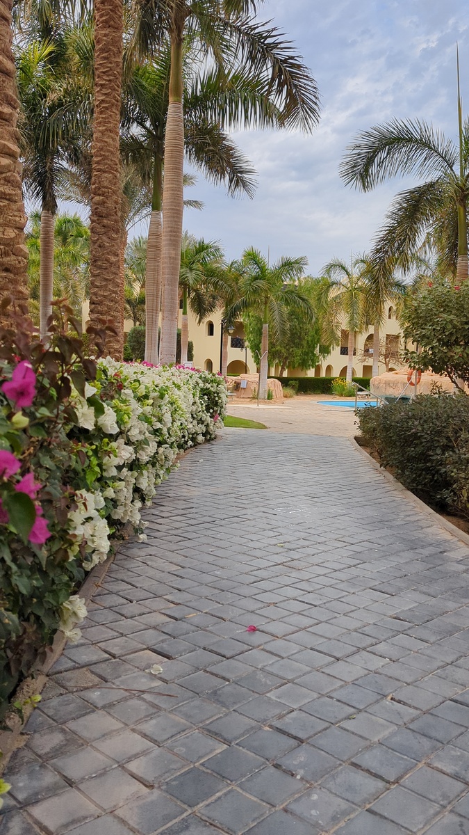  Stella gardens Makadi Bay