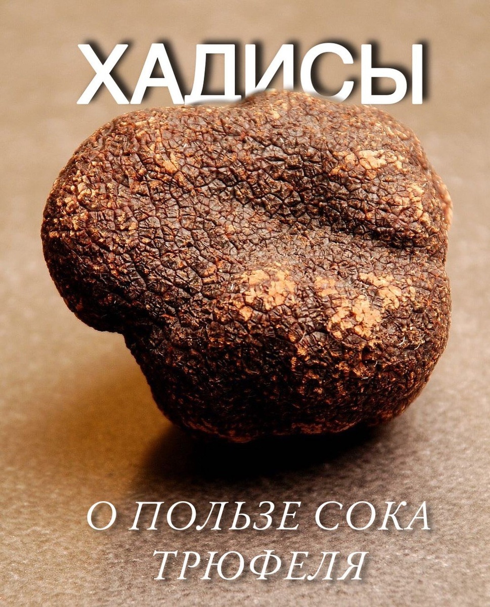 • Сообщается, что Са’ид ибн Зайд, да будет доволен им Аллах, сказал:
— Я слышал, как посланник Аллаха, да благословит его Аллах и да приветствует, сказал: “Трюфели подобны манне*, а жидкость (которую они выделяют,) является лекарством для глаз”. (аль-Бухари 4478, Муслим 2049) 