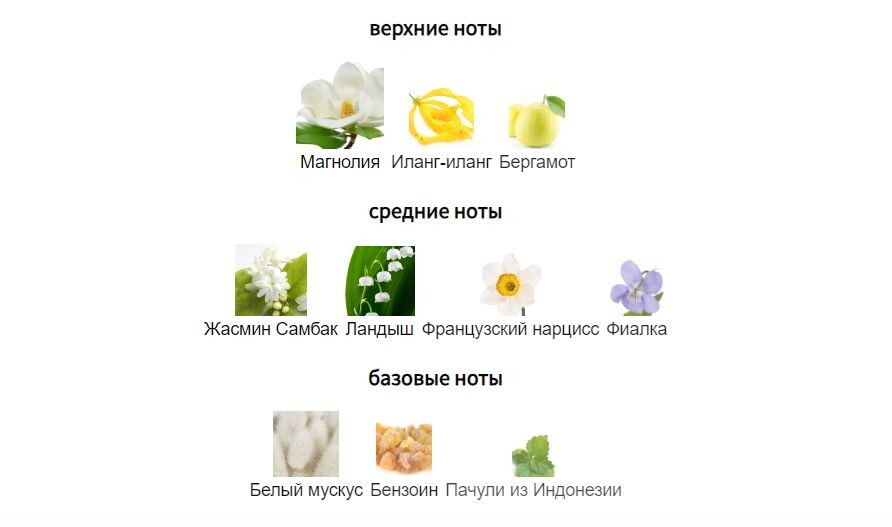 fragrantica.ru