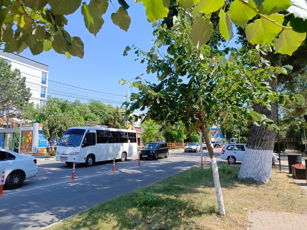 Пионерский проспект. Фото автора.