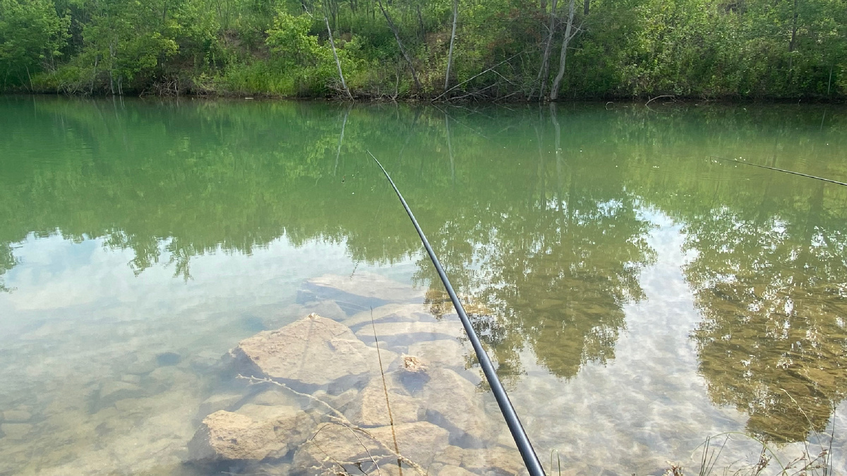 Красота природы