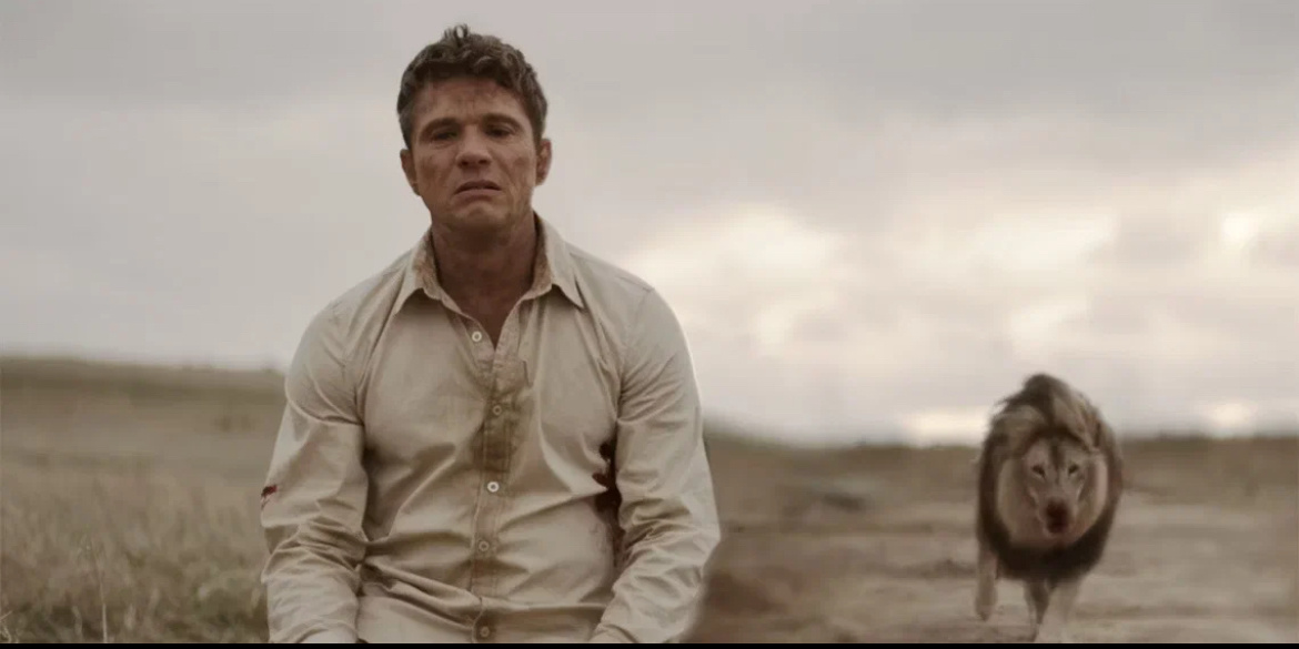 Кадр: Кинопоиск 