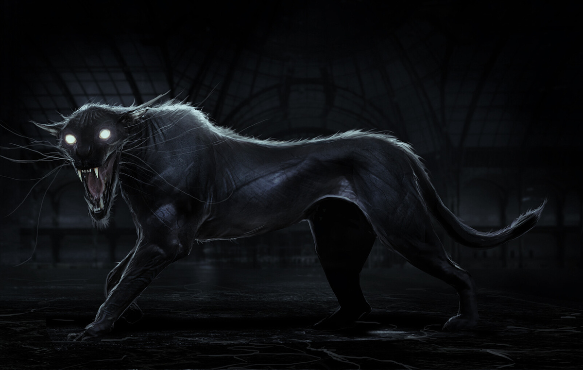 Автор неизвестен. изображение из открытых источников