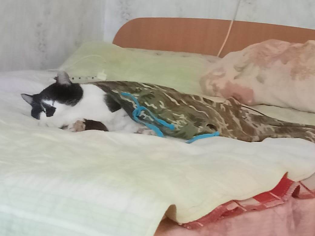 Фото автора.  Митя отсыпается