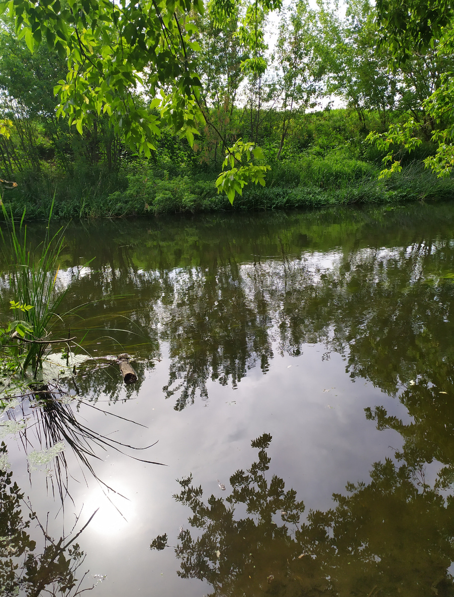 На берегу Тихой Сосны