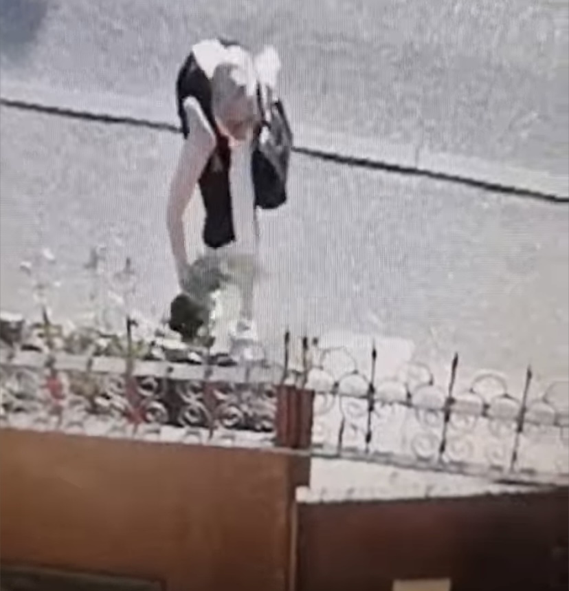 Вырвала куст среди бела дня