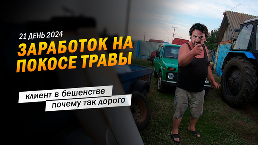 21 | Клиент в бешенстве!? Почему так дорого? Заработок в деревне на покосе травы триммером.