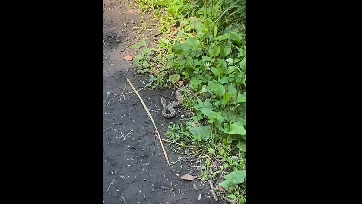     Источник: vk.com/kras_akadem