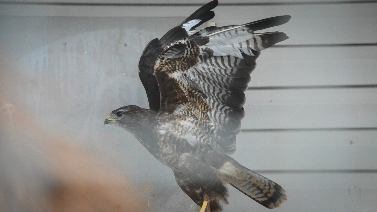     Источник: 1MI