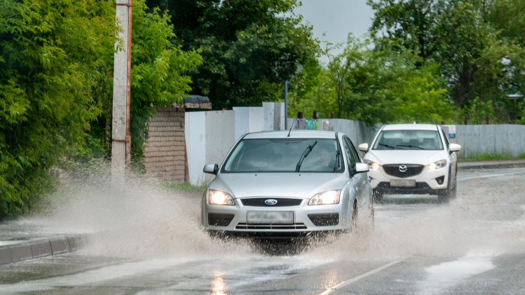    Фото: Светлана Возмилова/Globallookpress.