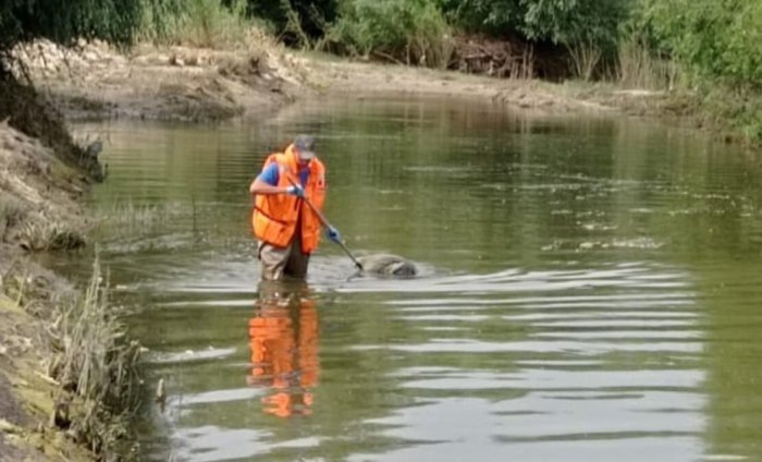 Фото: МКУ «Служба аварийно-спасательных работ»