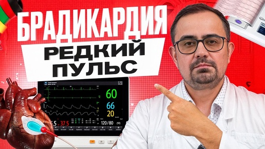 Пульс меньше 60 – норма или патология? Причины и лечение редкого пульса