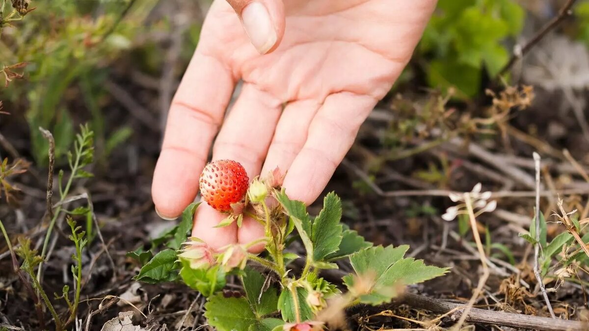     Источник: freepik.com