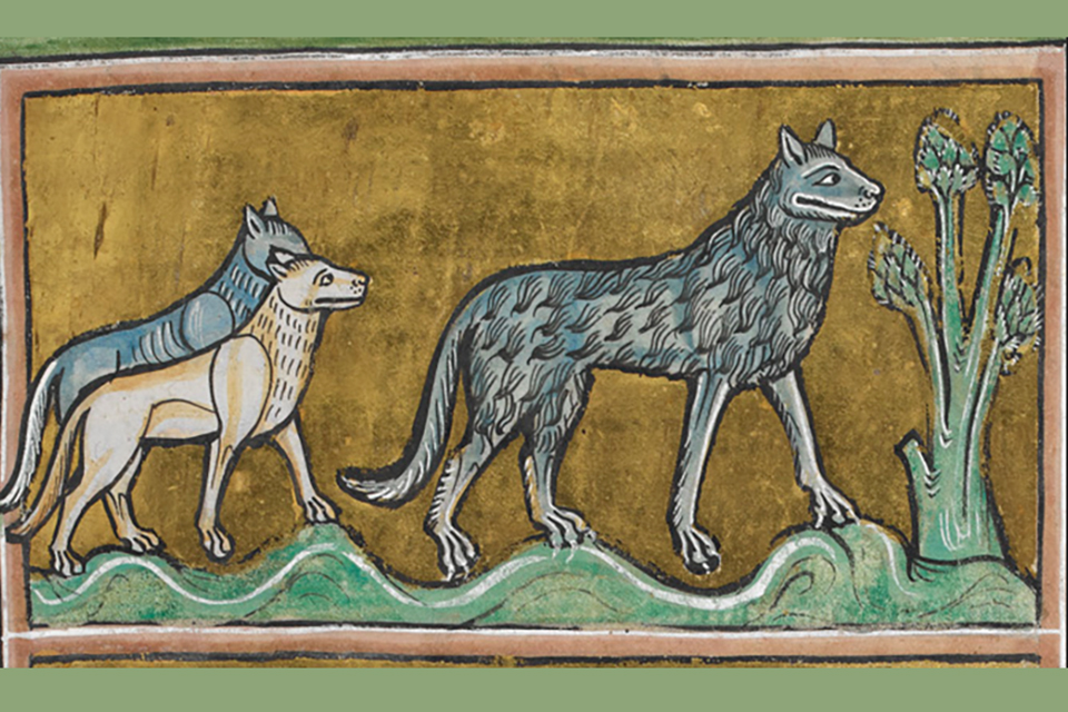 Картинка взята по адресу https://www.medieval.eu/wp-content/uploads/Wolves-from-the-Rochester-Bestiary-c-British-Library-Royal-MS-12-F.-xiii-f.-29.jpg
