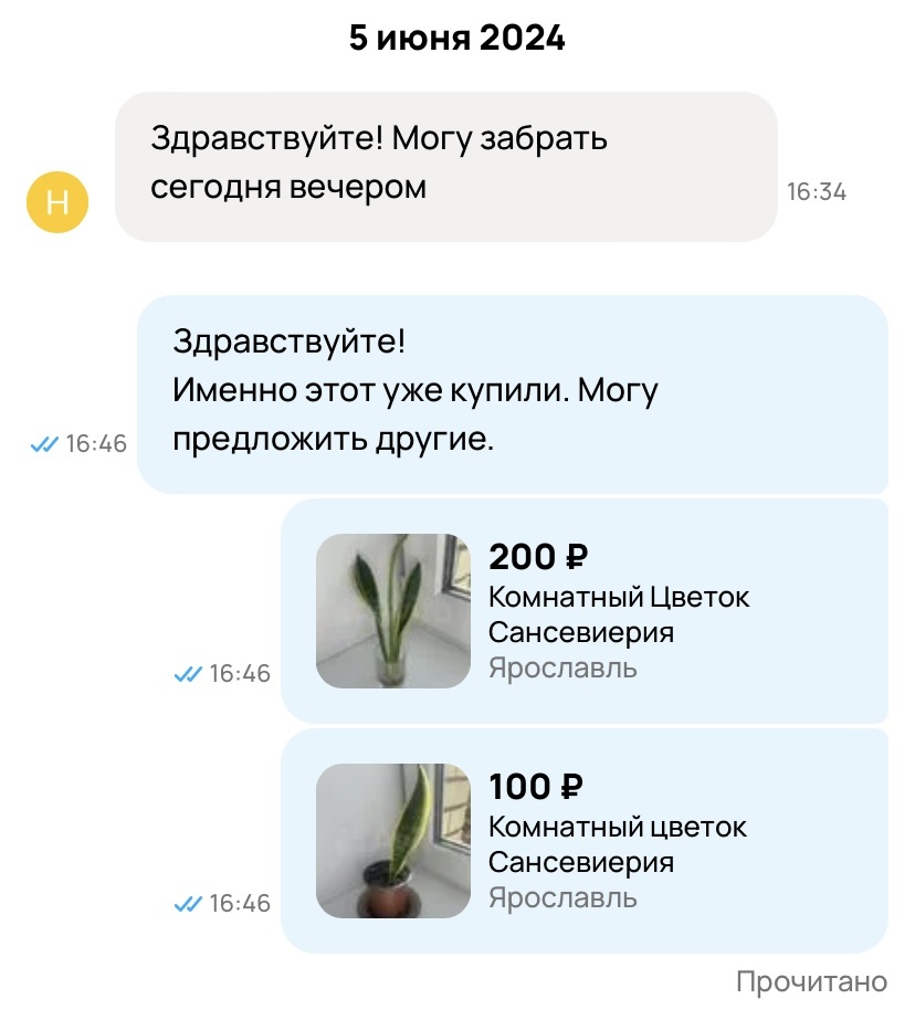 Скрин с сайта Авито