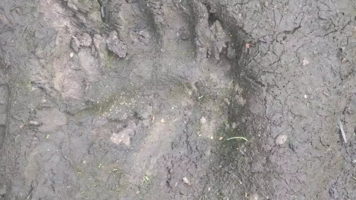     Источник: Ишим пере Подслушано