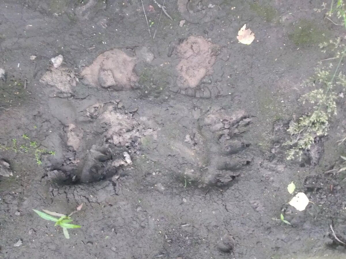     Источник: Ишим пере Подслушано