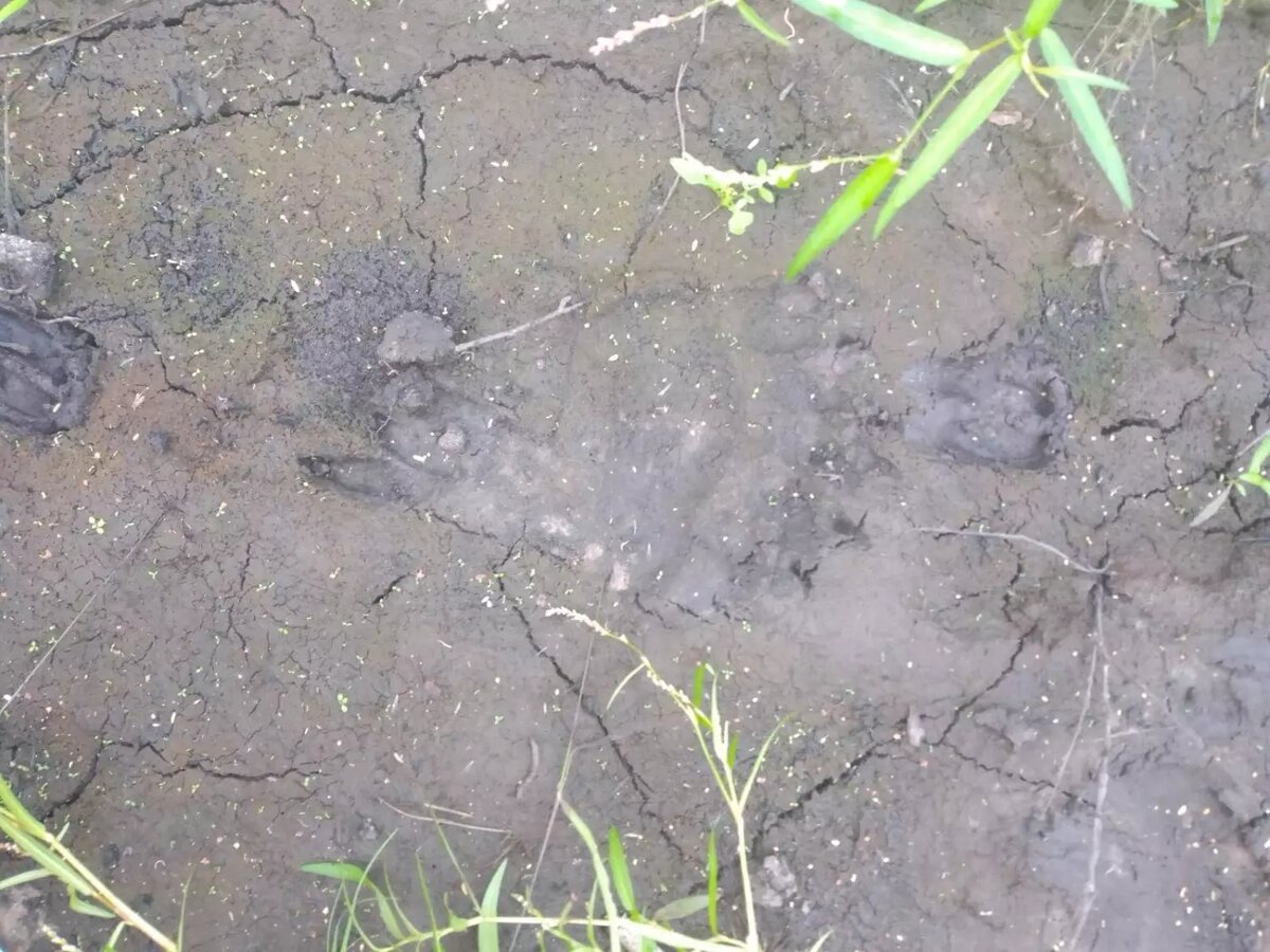     Источник: Ишим пере Подслушано