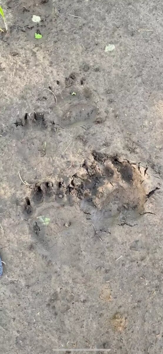     Источник: Ишим пере Подслушано