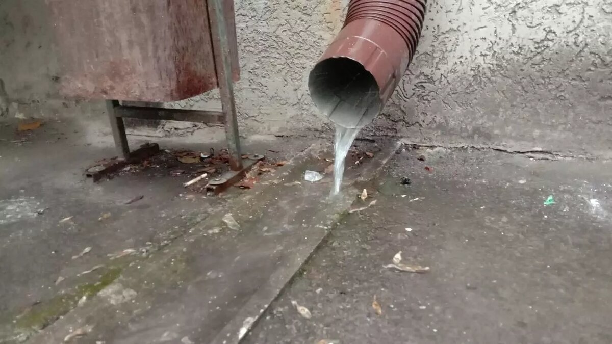     Автор: Видео тг-канал «это Ростов» Источник: rostovgazeta.ru