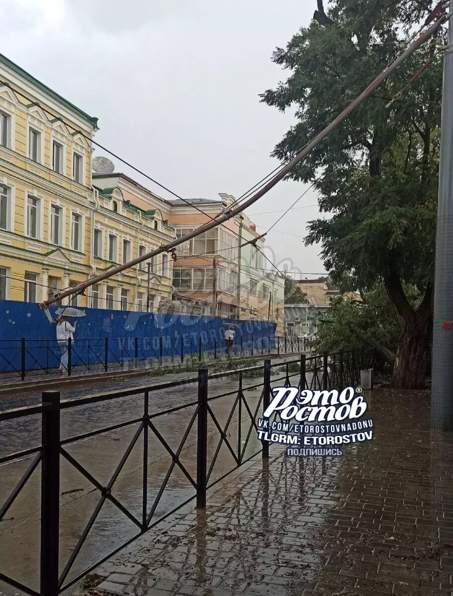     Автор: тг-канал "это Ростов"