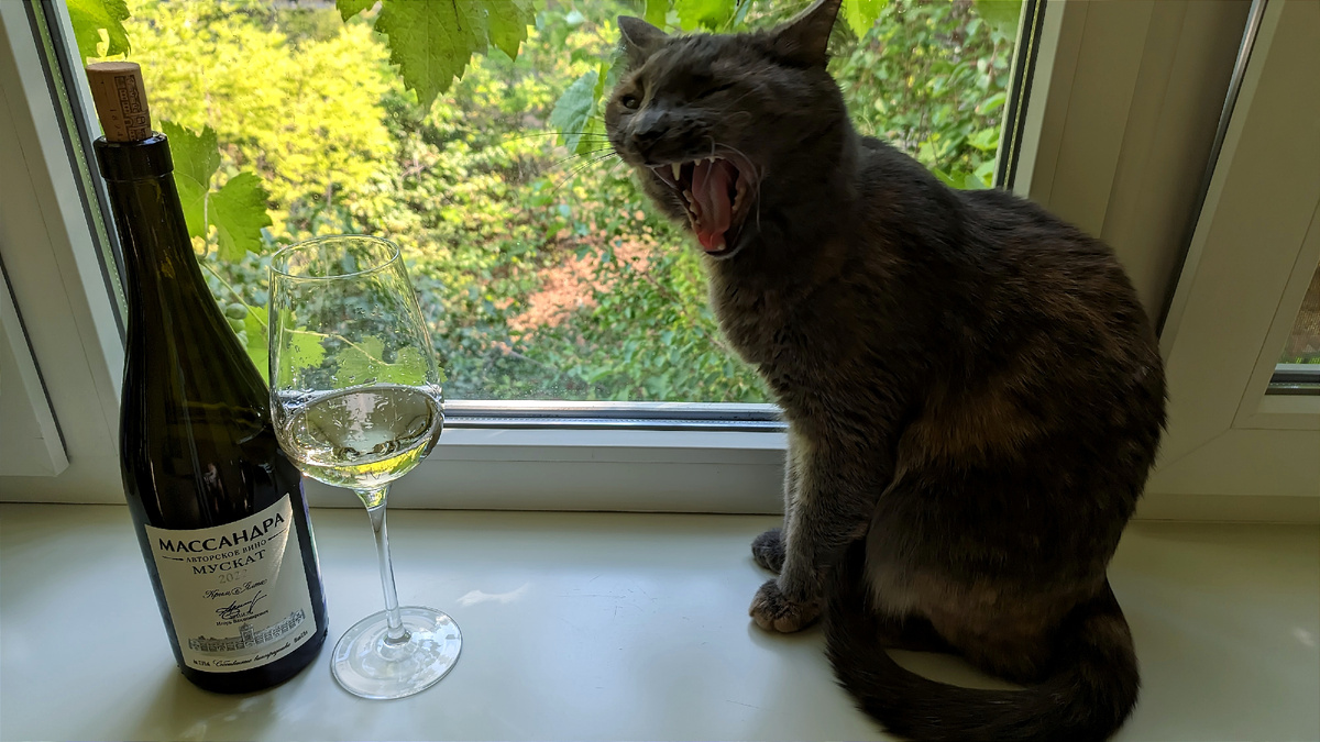 Мускат Массандра авторское 2022