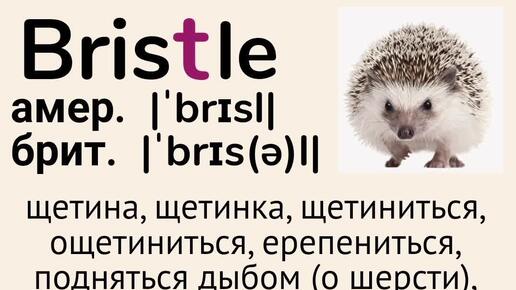 Слова с непроизносимыми буквами/тренажер👉bristle